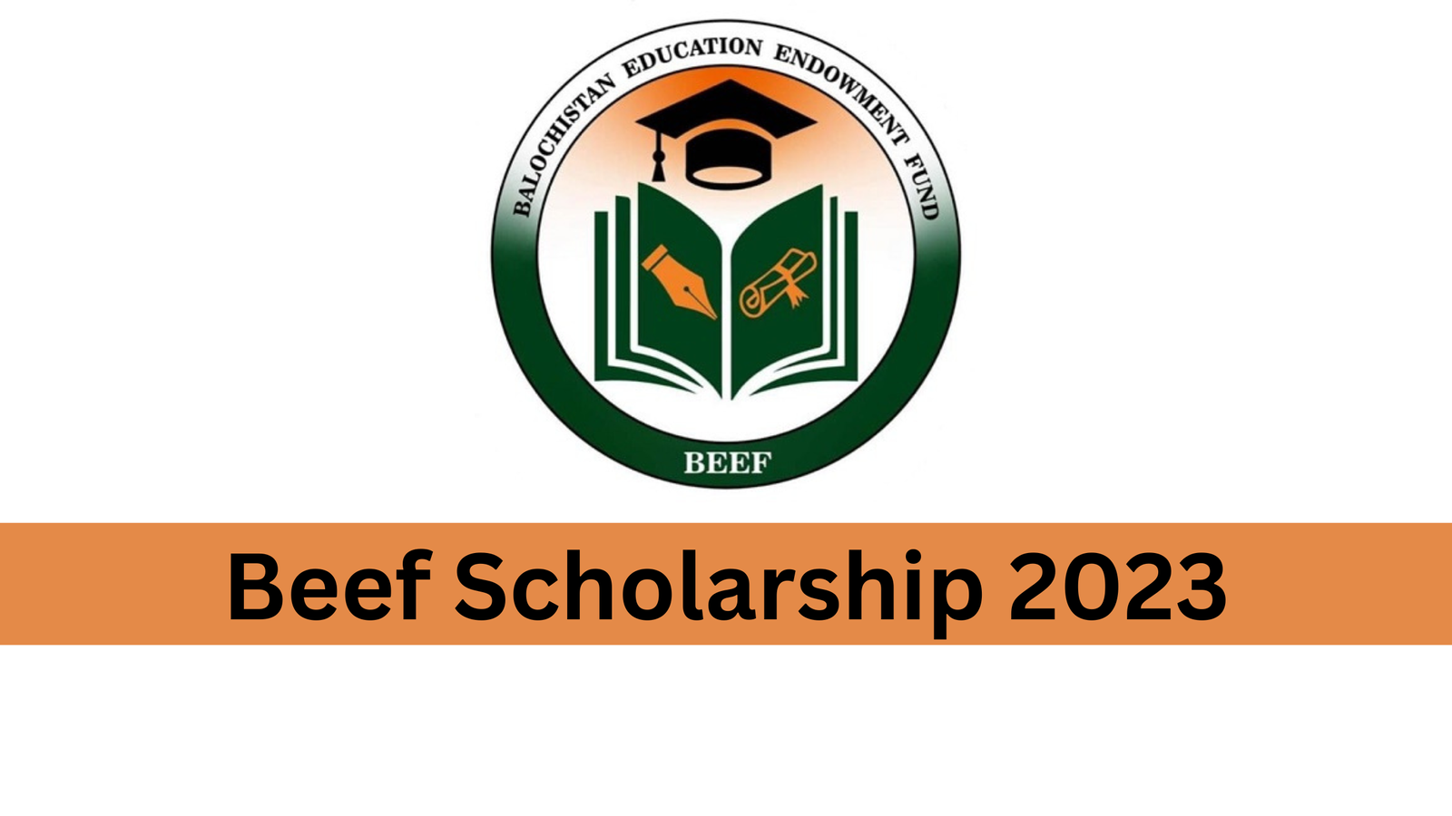 Beef Scholarship 2023